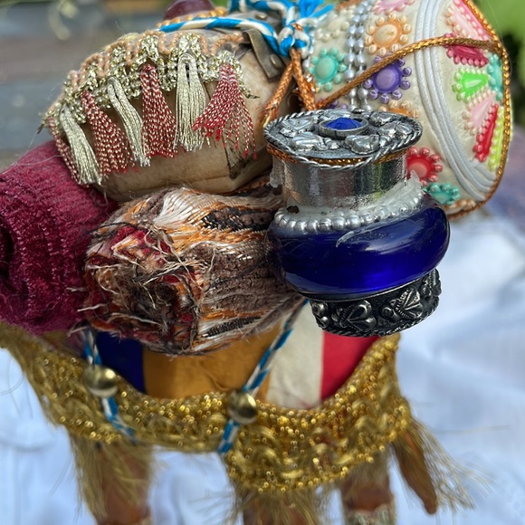 Camel from India - Picture 2 of 15